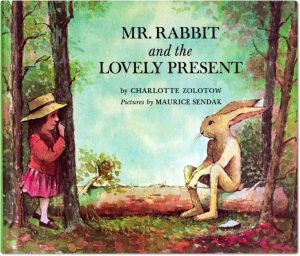 Mr Rabbit and the Lovely Present book cover