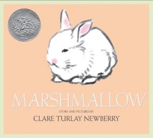 Marshmallow book cover